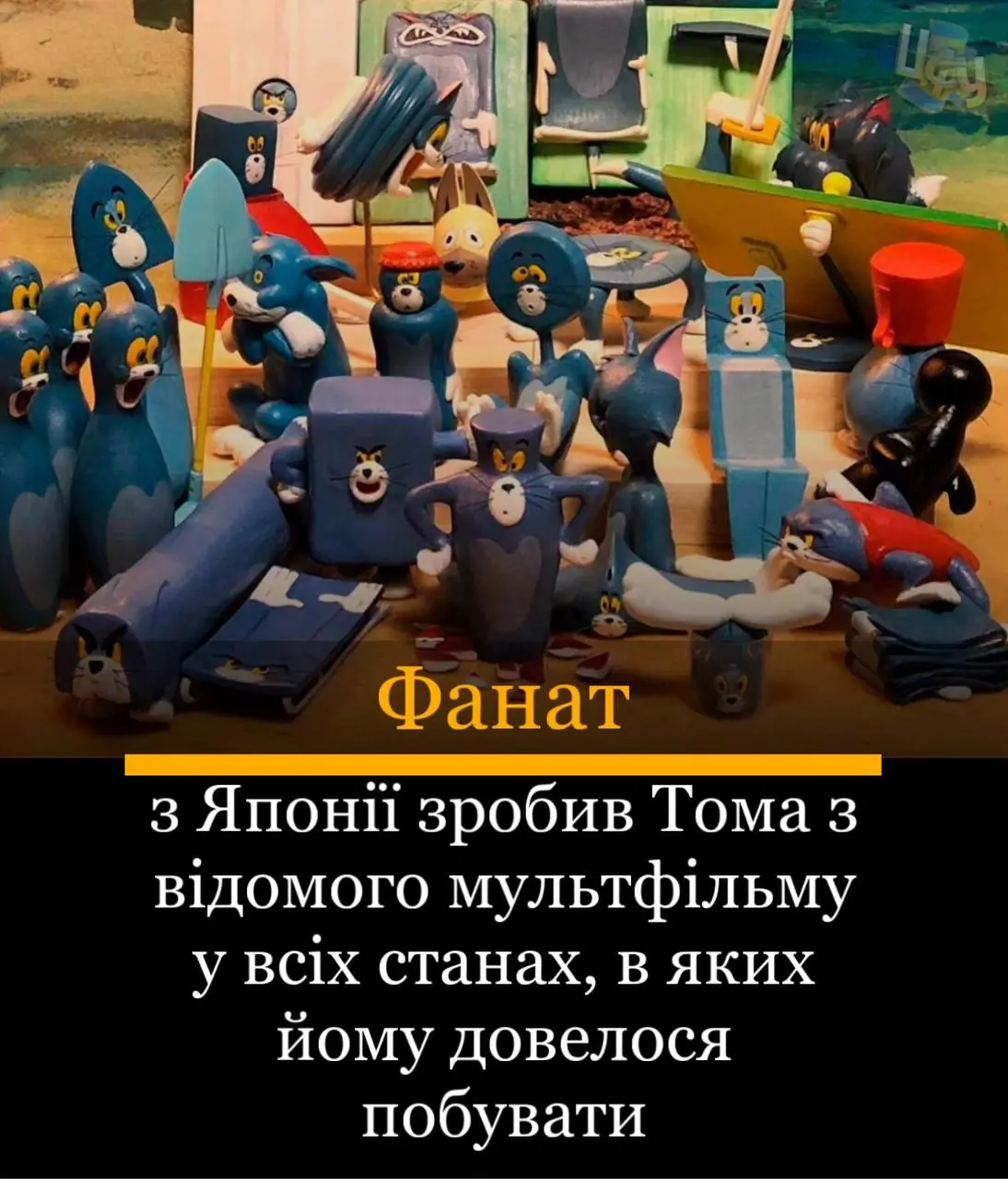 1706558995388.webp