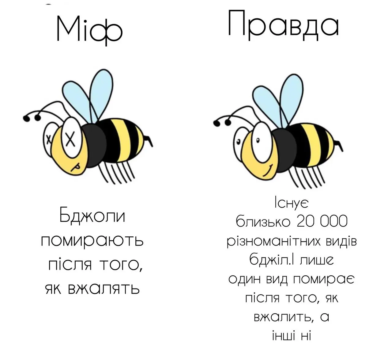 1706559061473.webp