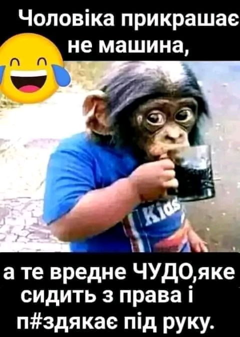 1706559594382.webp