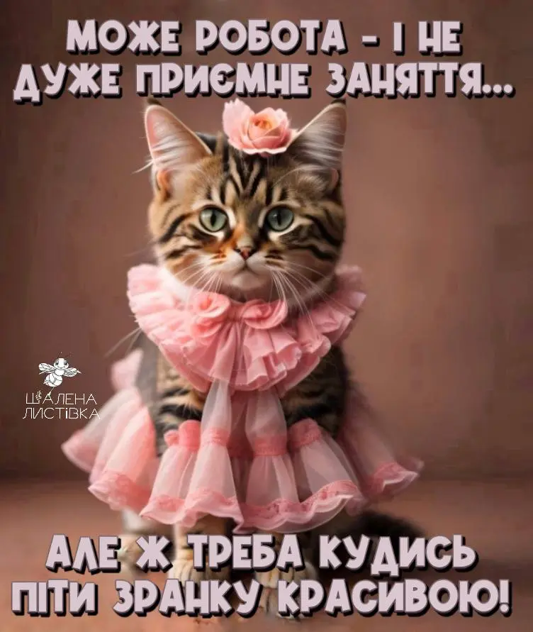 1706559943400.webp