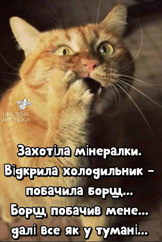 1706560283833.webp