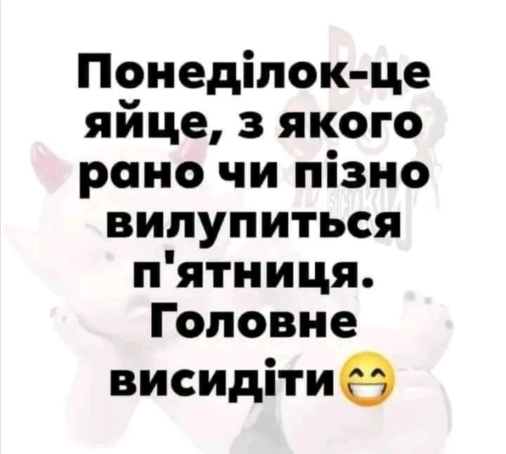 1706566636925.webp