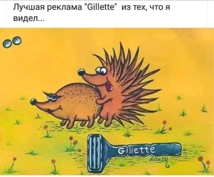 1706593815132.webp
