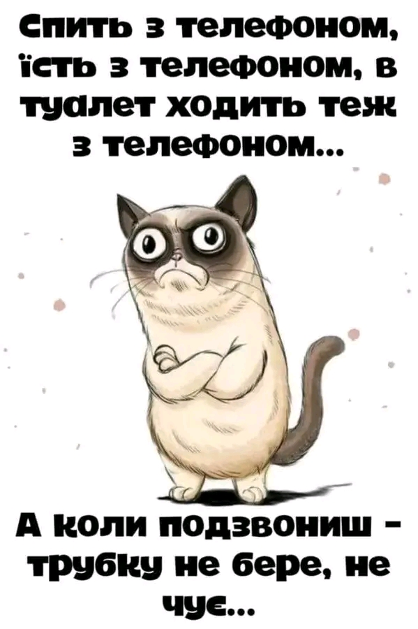 1706630011141.webp