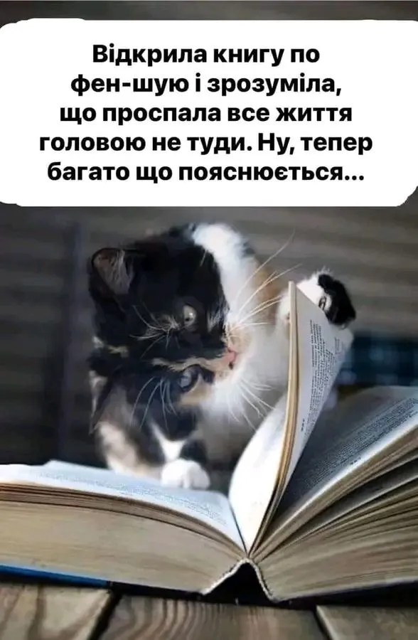 1706735622768.webp