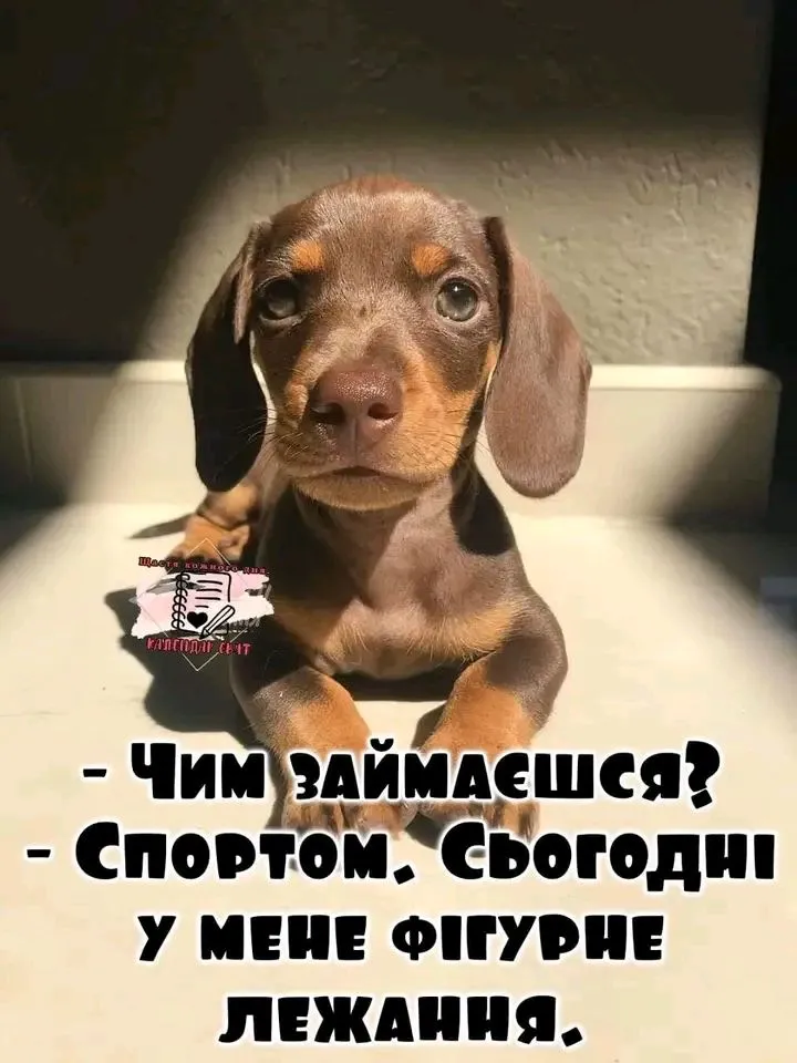 1706770117781.webp