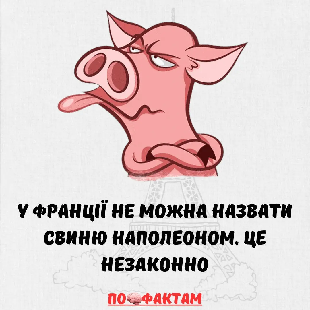 1706897207830.webp