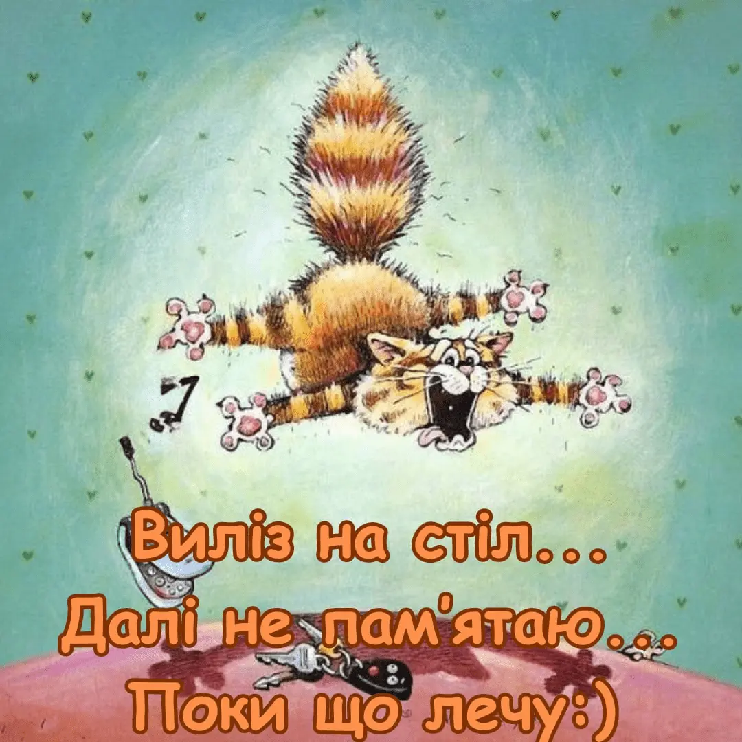 1706900435036.webp