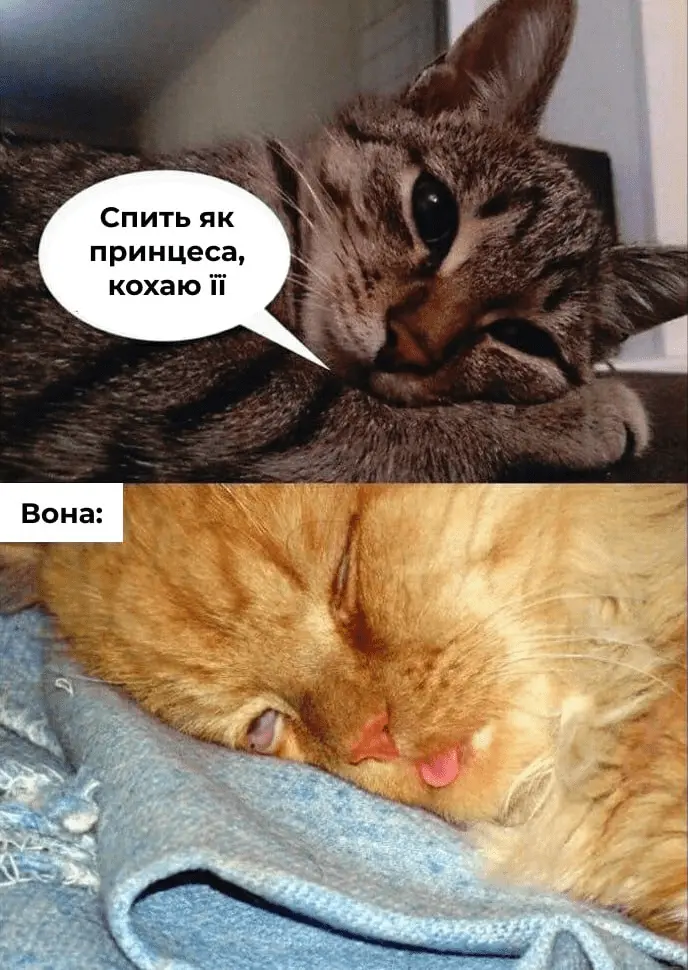 1706902695253.webp