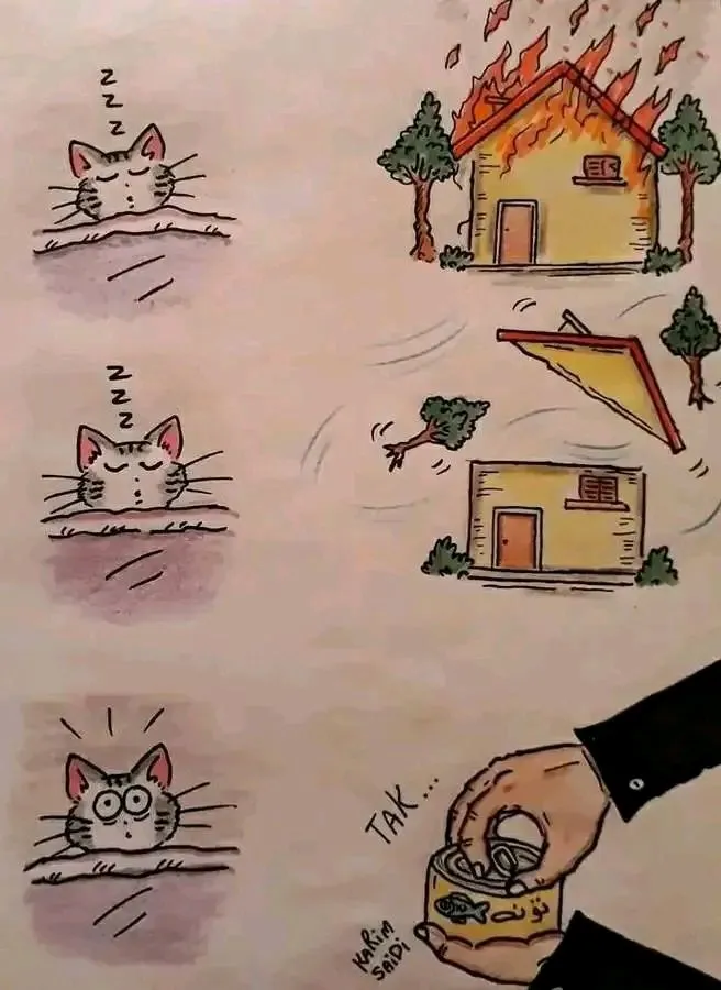 1707186709799.webp