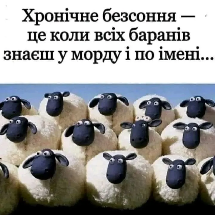 1707187216160.webp