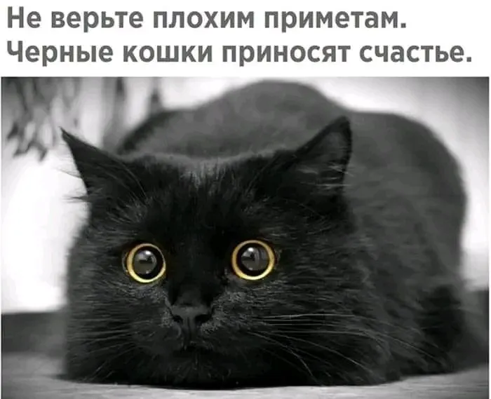 1707224049243.webp