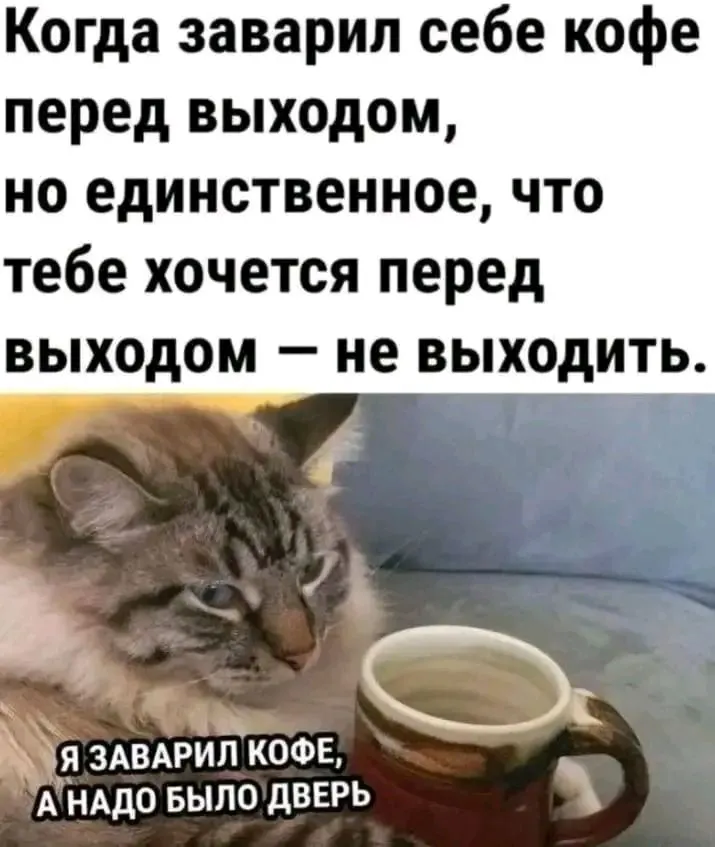 1707254468585.webp