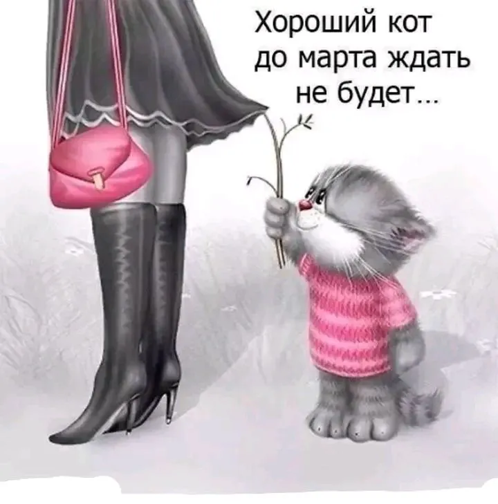 1707376986346.webp