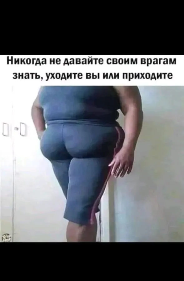 1707421731032.webp