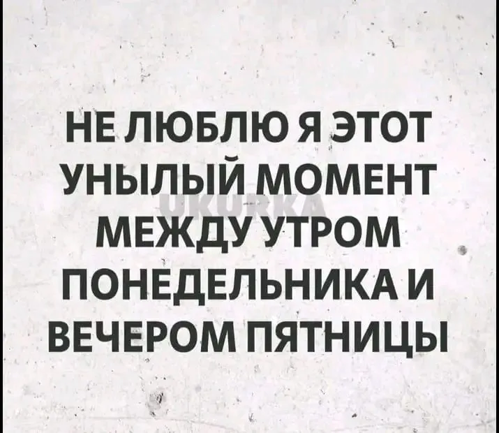 1707508638579.webp