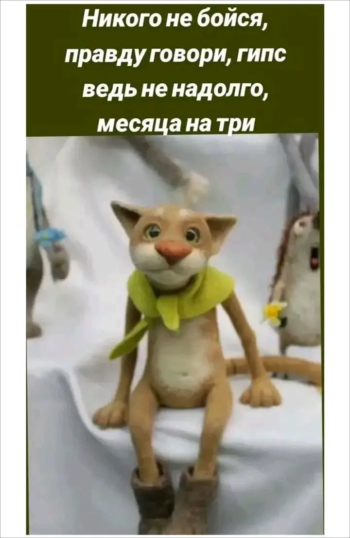 1707513729940.webp