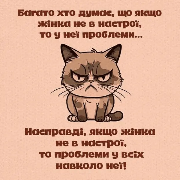 1707641303536.webp