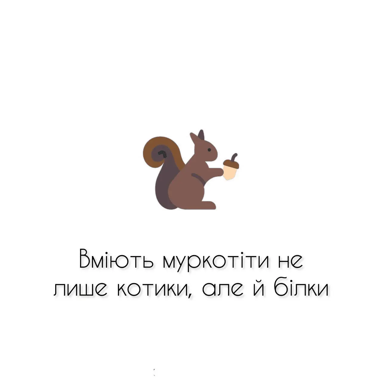 1707642176625.webp