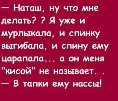 1707817049428.webp