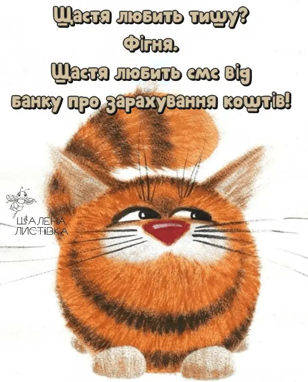 1708031785256.webp