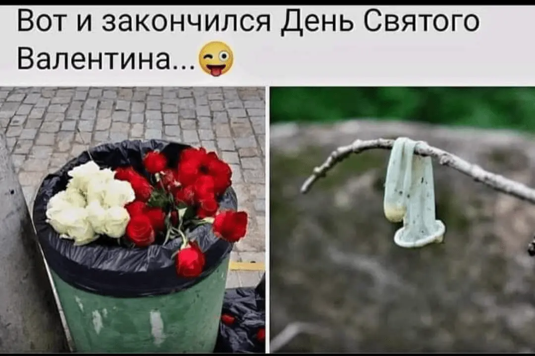 1708078006877.webp