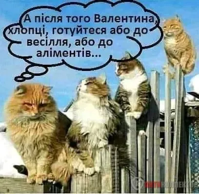 1708152468998.webp