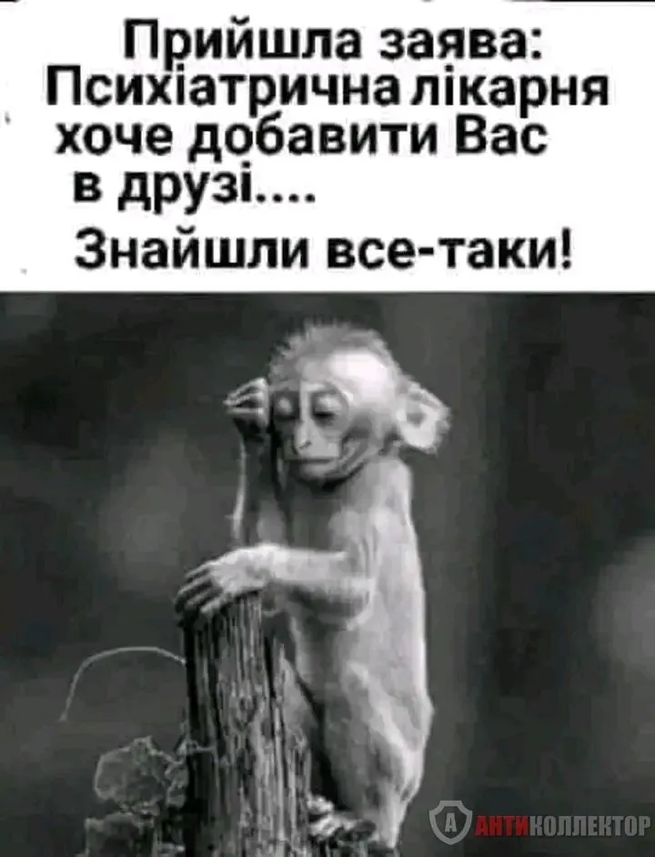 1708252138653.webp