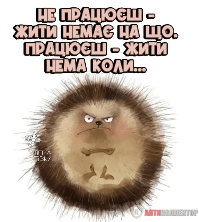 1708286613165.webp