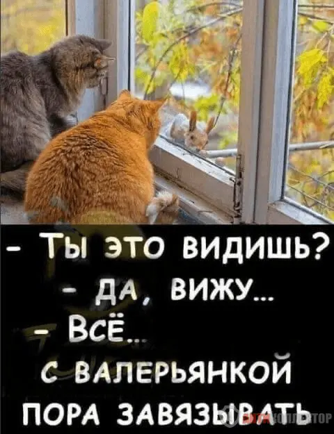 1708287279337.webp