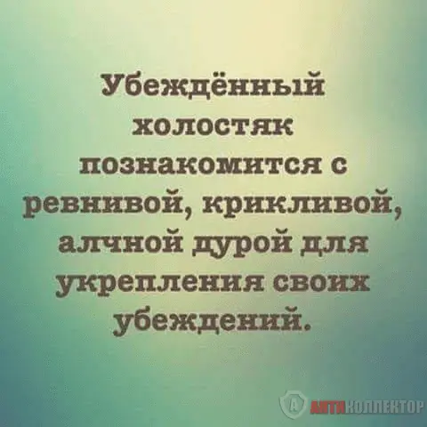 1708322248909.webp