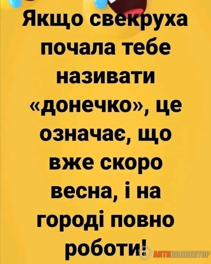 1708328291923.webp