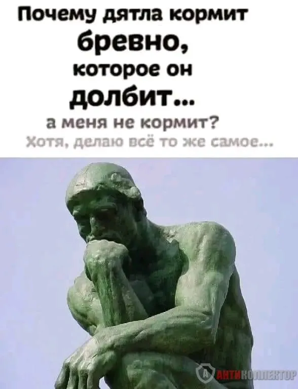 1708329310313.webp