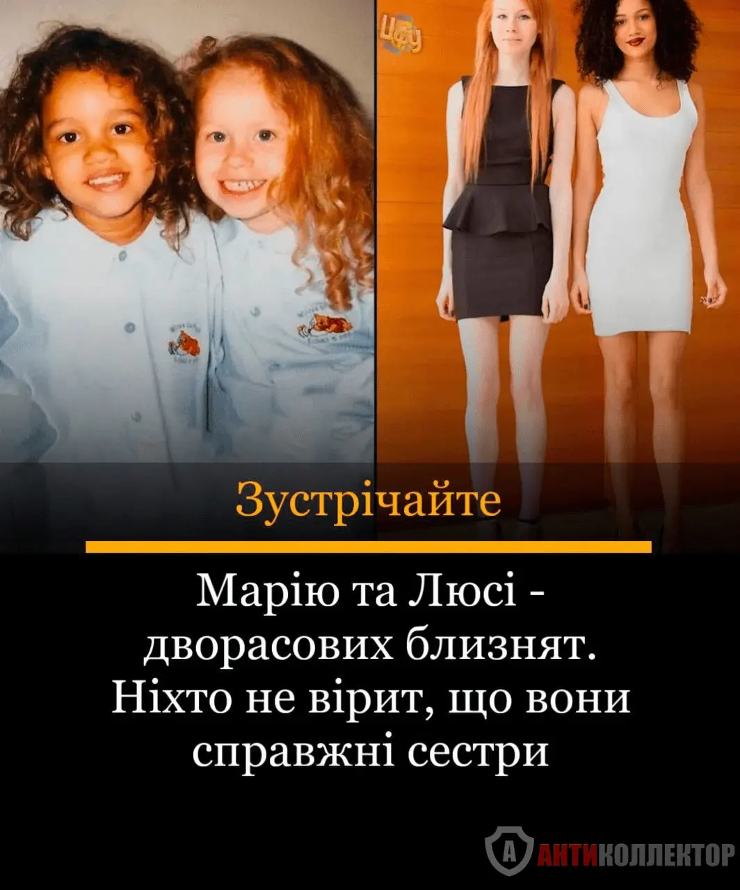 1708343204858.webp