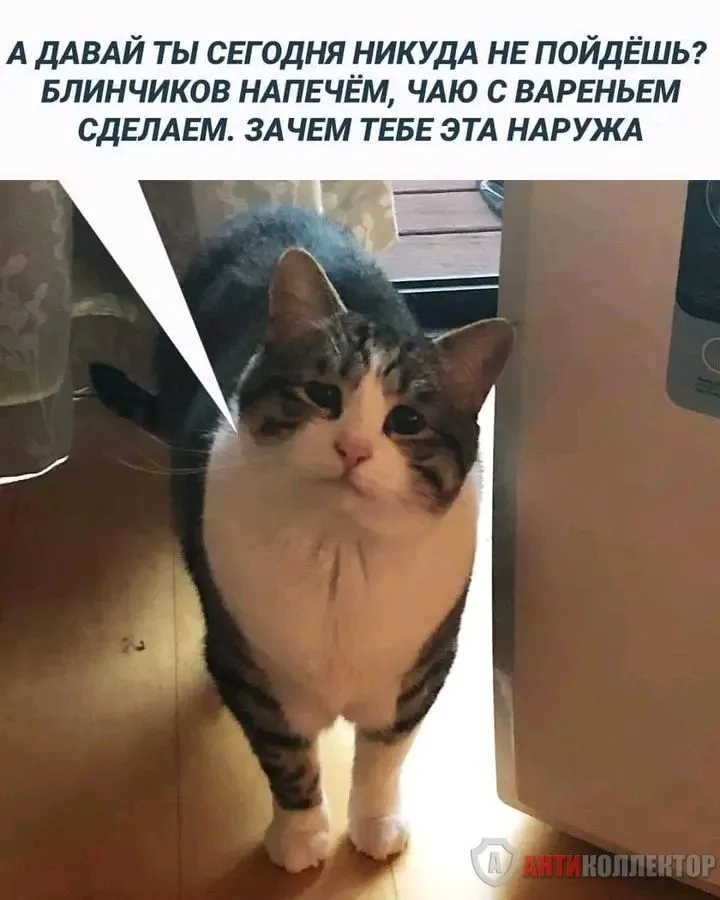 1708357609647.webp