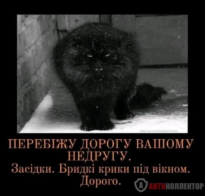 1708408649169.webp