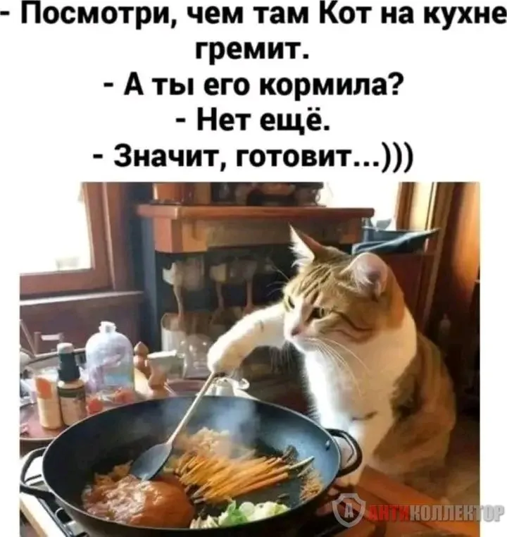 1708455895422.webp