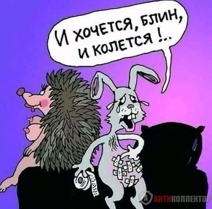 1708464085333.webp
