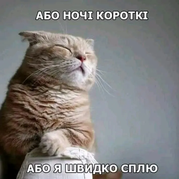 1708465685482.webp