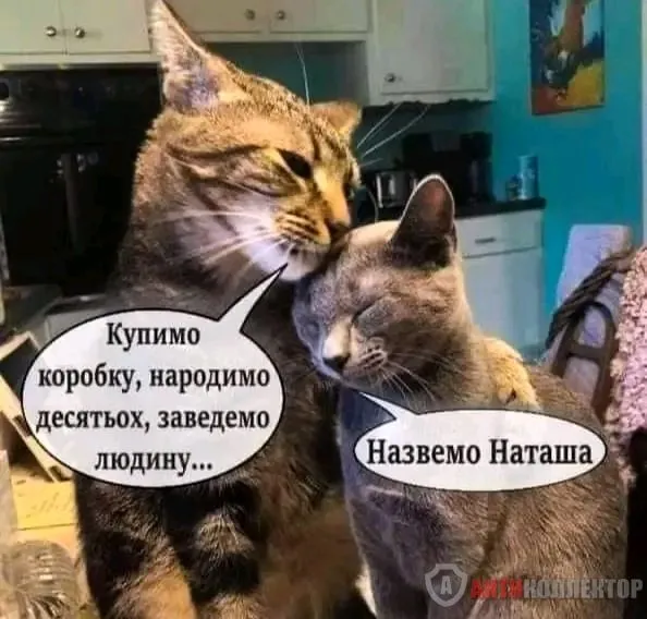 1708465751963.webp
