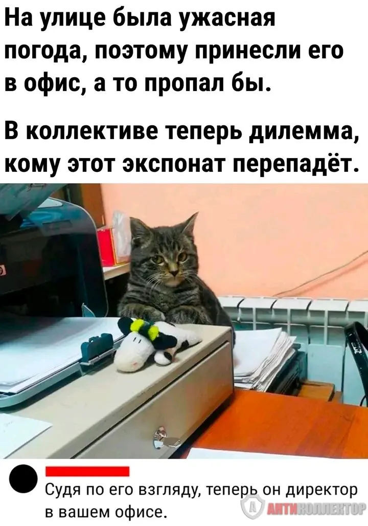 1708466194740.webp