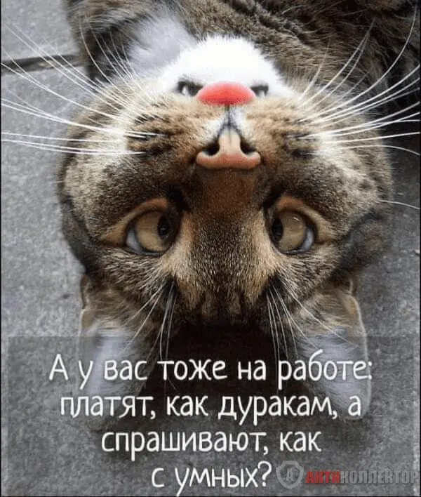 1708467004754.webp