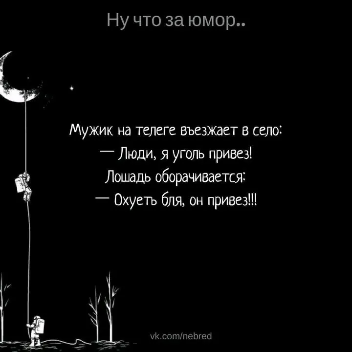 1708529202032.webp