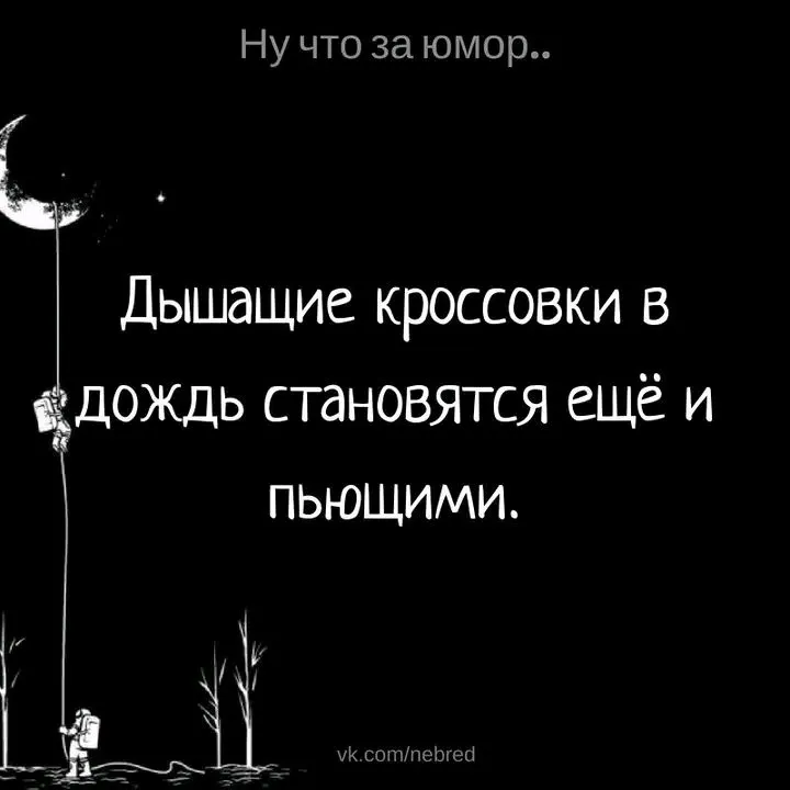 1708531380344.webp