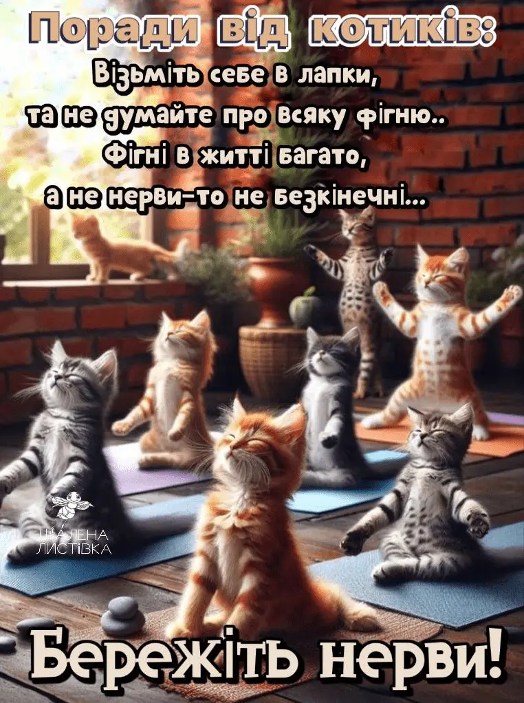 1708540559128.webp