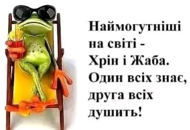 1708587961516.webp