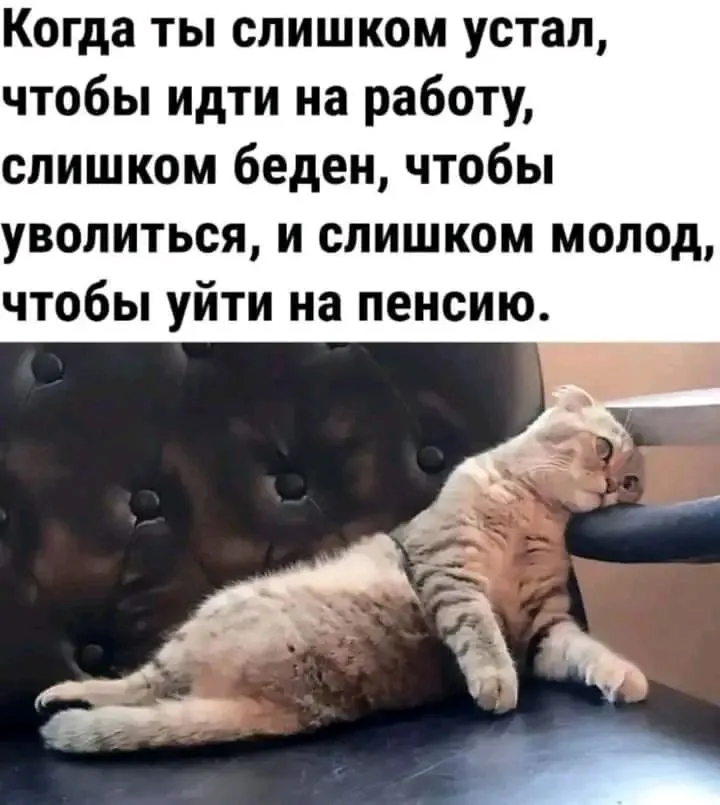 1708594947328.webp