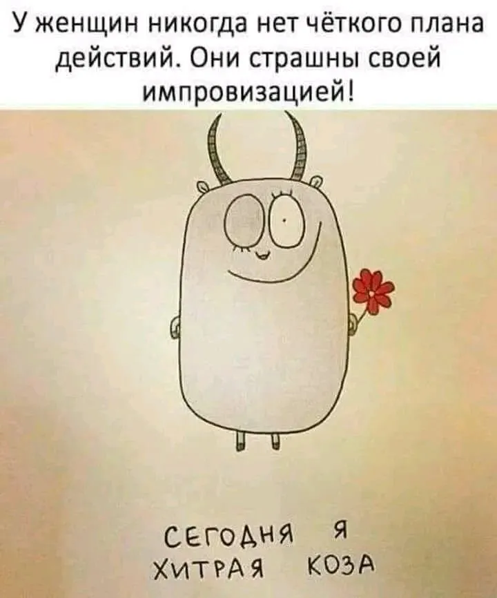 1708621192857.webp