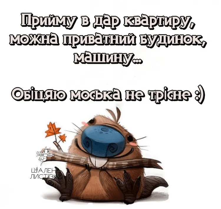 1708707424766.webp