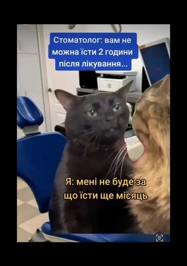 1708722021293.webp